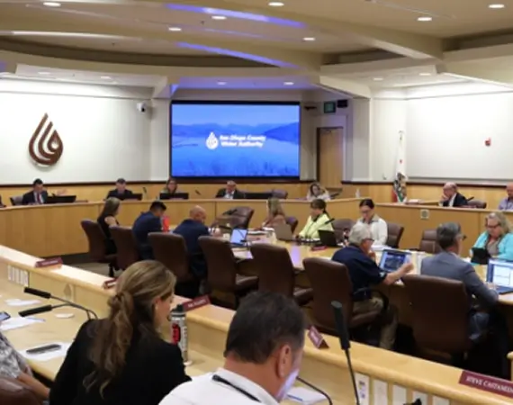 Board of Director Meeting